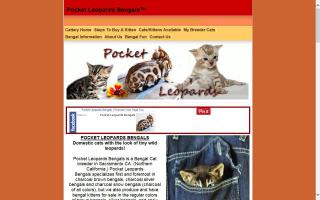 Pocket Leopards Bengals