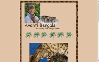 Avanti Bengals