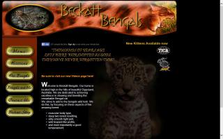 Beckatt Bengals