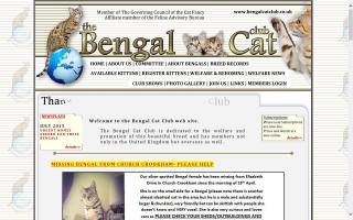 Bengal Cat Club, The