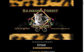 Bambusa Forest Cattery