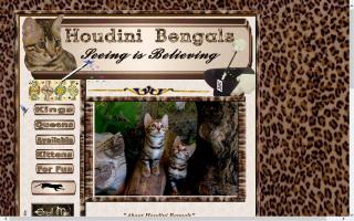 Houdini Bengals