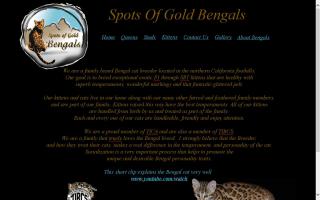 Spots of Gold Bengals