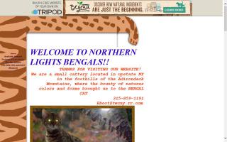 Northern Lights Bengals