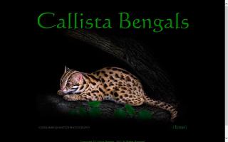 Callista Bengals