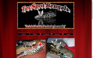 TecSpot Bengals