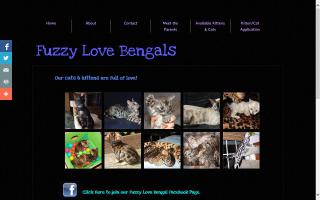 Fuzzy Love Bengals