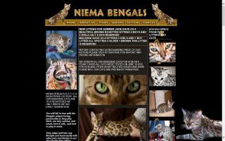 Niema Bengals