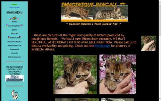 Imaginique Bengals