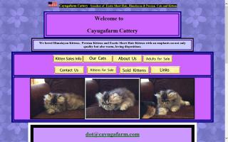 Cayugafarm Cattery