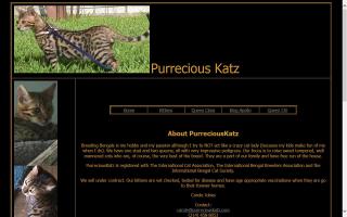 Purrecious Katz Bengals