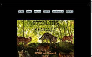 Sterling Bengals