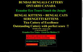 Bundas Cattery