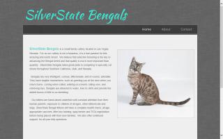 SilverState Bengals