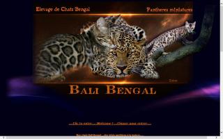 Bali Bengal