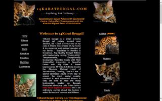 14Karat Bengal Cattery