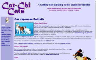 Cat-Chi Cats