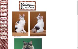 Kiddlyn Japanese Bobtails