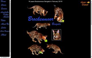 Brockenmoor Bengals