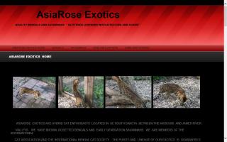 AsiaRose Exotics