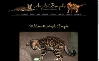 Anjali Bengals