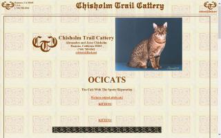 Chisholm Trail Cattery