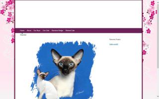 Kwazy Siamese Cattery