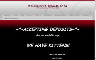 Razzledots Bengals