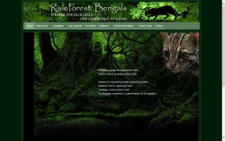 Rainforest Bengals