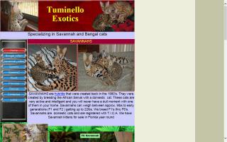 Tuminello Exotics