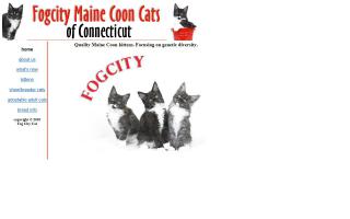 Fog City Maine Coon Cats