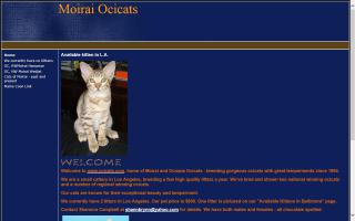 Moirai Ocicats