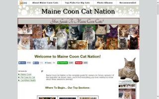 Maine Coon Cat Nation