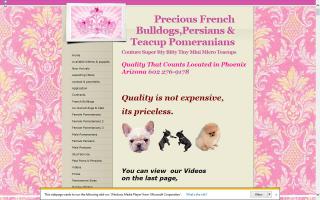 Precious Poms & Persians