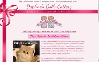 Daphne's Dolls Cattery