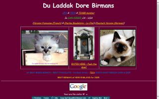 Du Laddak Doré Birmans