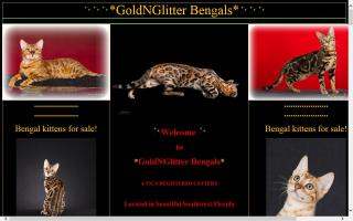 GoldNGlitter Bengals