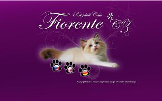 Fiorente Ragdolls