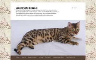 Adore Cats Bengals