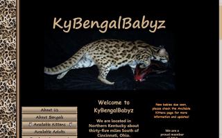 KyBengalBabyz