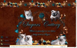 Sugars Cattery