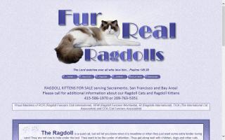 Fur-Real Ragdolls / Above All Ragdolls