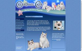 CelesTrail Cats