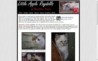 Little Apple Ragdolls