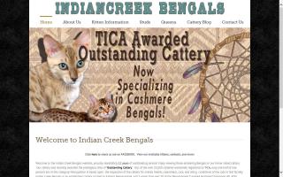 Indian Creek Bengals