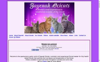 Zayenah Ocicats