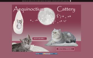 Aequinoctium Cattery