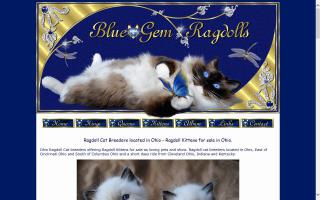 Blue-Gem Ragdolls