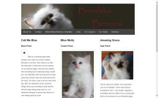 Birmilska Birmans