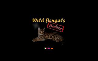 WildBengals